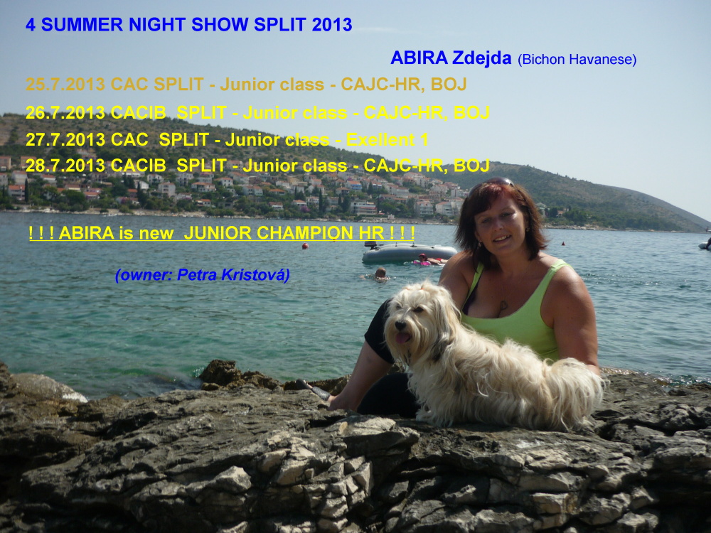 http://www.angelnavajo.cz/media/novinky1.6.az30.11./Abirka.split.JPG