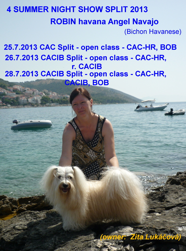 http://www.angelnavajo.cz/media/novinky1.6.az30.11./robin.split.JPG